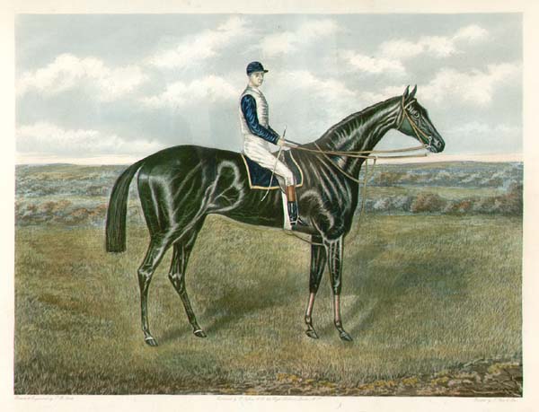 Winner of the Oaks, 1893.