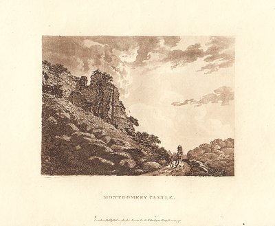 Montgomery Castle.  (antique print)