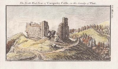 The North West view of Caergwrley Castle