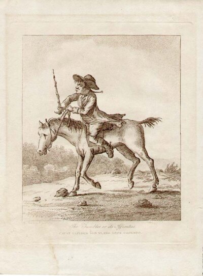 The Tumbler or its Affinities  -  Cavat Lapidem Non Vi Sed Saepe Cadeno