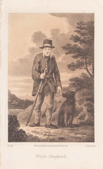 Welch Shepherd.
