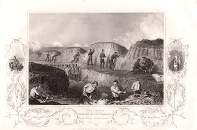 The Guards working in the trenches before Sebastopol