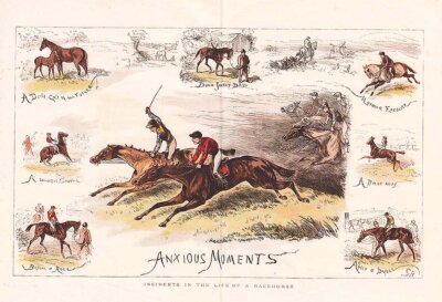 Anxious Moments  -  Incidents in the life of a Racehorse