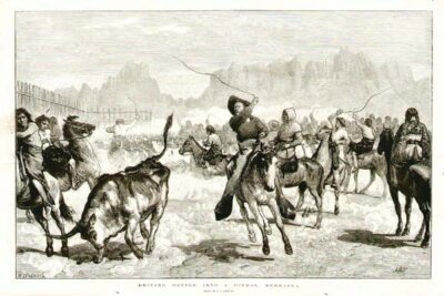 Driving Cattle into a corral Nebraske