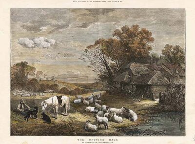 The Drover's Halt