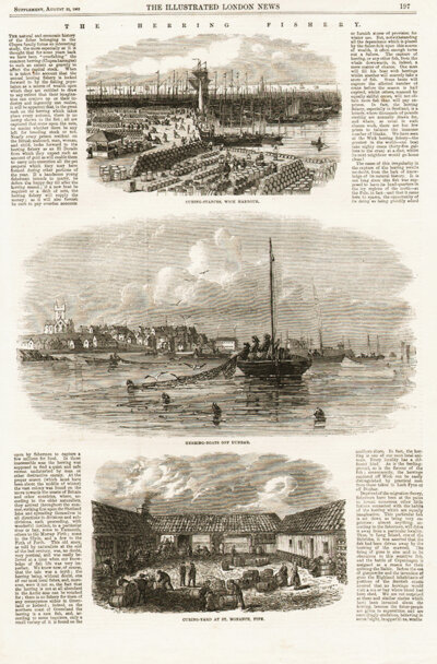 The Herring Fishery