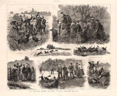 An Otter Hunt in the Vale of Clwyd North Wales