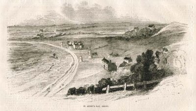 St Aubyn's Bay Jersey