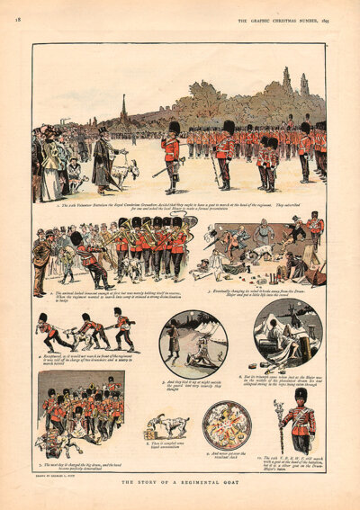The Story of a Regimental Goat