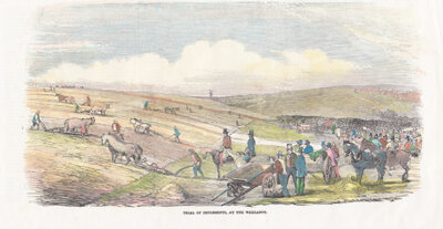 Trial of Implements at the Wallands 