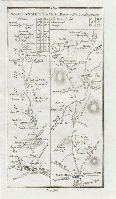 George Taylor and Andrew Skinner - Road from Clonmell to Thurles