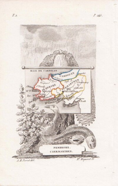 Perrot  -  Pembroke and Carmarthen