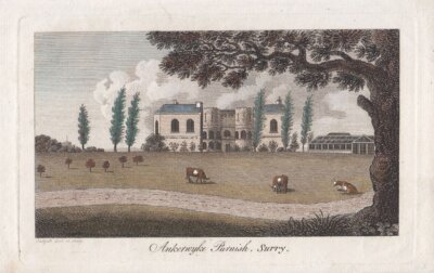Ankerwyke Purnish, Surry  (antique print)