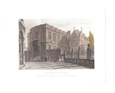 The Ashmolean Museum