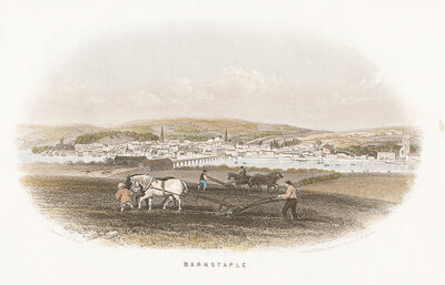 Barnstable 