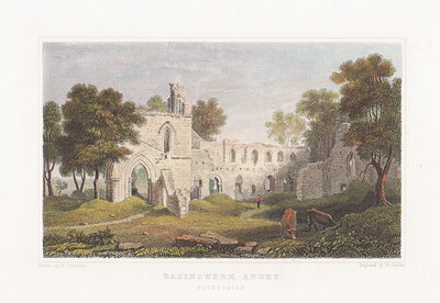Basinwerk Abbey Flintshire 