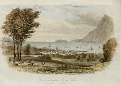 Beaumaris from Barron Hill
