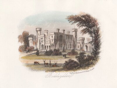 Bodelwyddan.  (antique print)