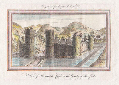 View of Bramstill Castle 