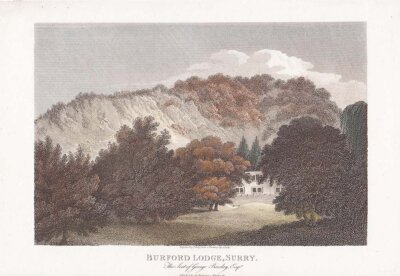 Burford Lodge Surry  The Seat of George Barclay  Esq  