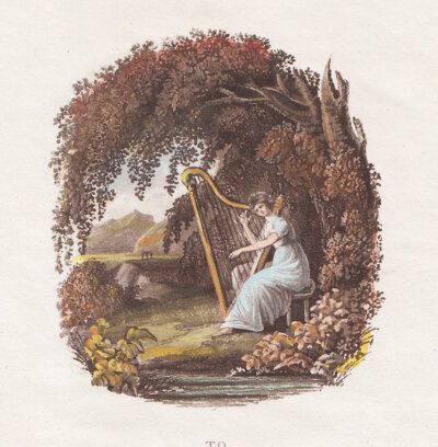 Frontispiece to Cambria Depicta