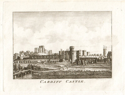 Cardiff Catle