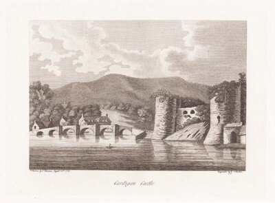 Cardigan Castle