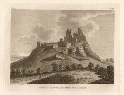 Carrigogunnel near Limerick