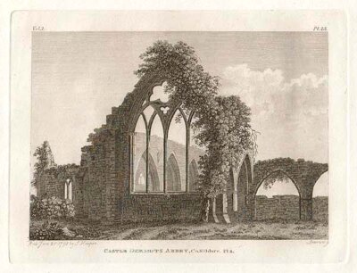 Castle Dermot's Abbey  Pl2