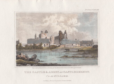 The Castle & Abbey of Castledermot Co of Kildare