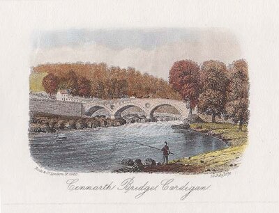 Cennarth Bridge Cardigan
