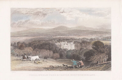 Chillingham Park & Castle Northumberland 