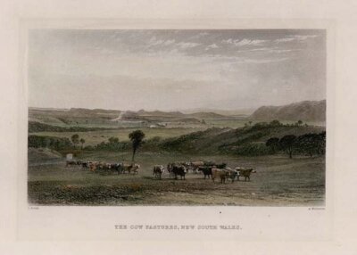 The Cow Pastures New South Wales