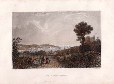 Cowes from the East