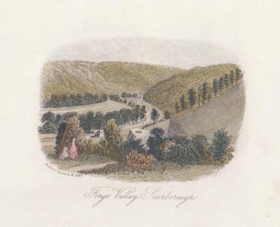 Forge Valley Scarborough 