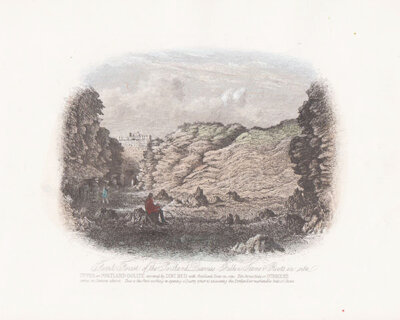 Fossil Forest of the Portland Quarries 