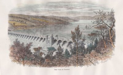 The Vale of Fyrnwy.  (antique print)