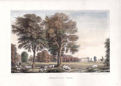 Gwersyllt Park