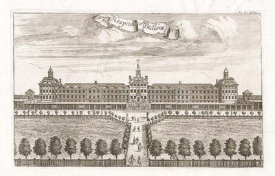 The Hospital called Bedlam