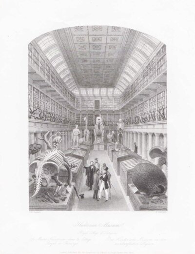Hunterian Museum.  Royal College of Surgeons.