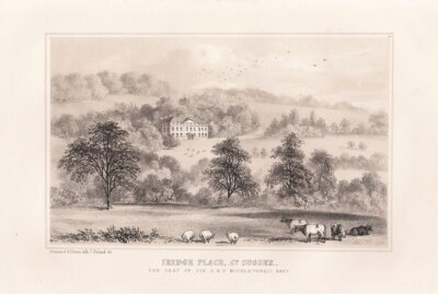 Iridge Place, Co. Sussex.  (antique print)