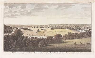 A View from Jerusalem Hill in Lord Digby's Park at Sherbourne Dorset 