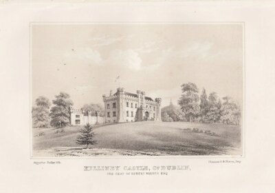 Killiney Castle, Co. Dublin, The Seat of Robert Warren. Esq.  (antique print)