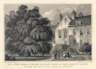 The Levee Room in Regent Murray's House as seen from the garden with the remarkable thorn planted by Queen Mary