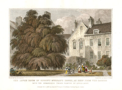The Levee Room in Regent Murray's House as seen from the garden with the remarkable thorn planted by Queen Mary  