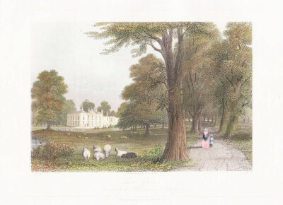 Lime Grove