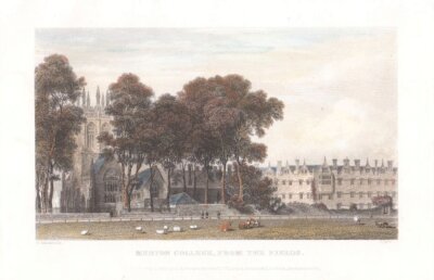 Merton College from the fields