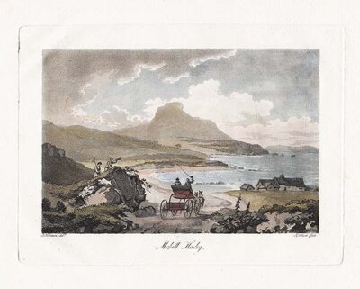 Mohill Hadog -  Moel-y-gest 