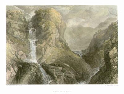 Moss Dale Fall
