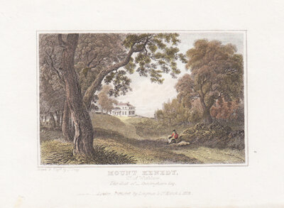 Mount Kenedy Co of Wicklow 